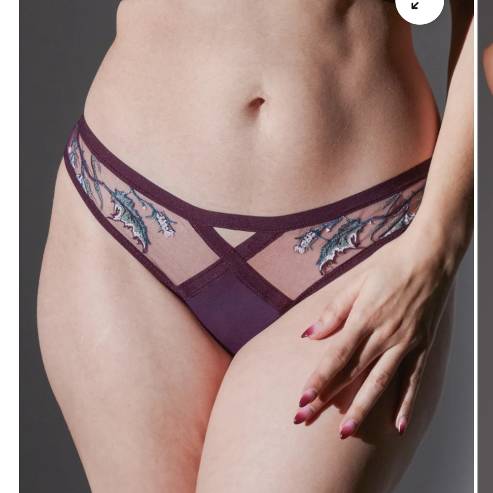 NWT Thistle and Spire Size S Cirsi Bikini in Cordial